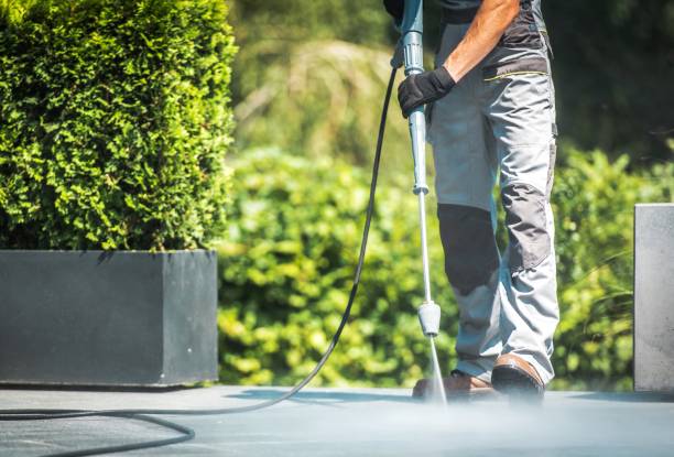 Best Oil Spill Cleanup  in San Rlos, CA